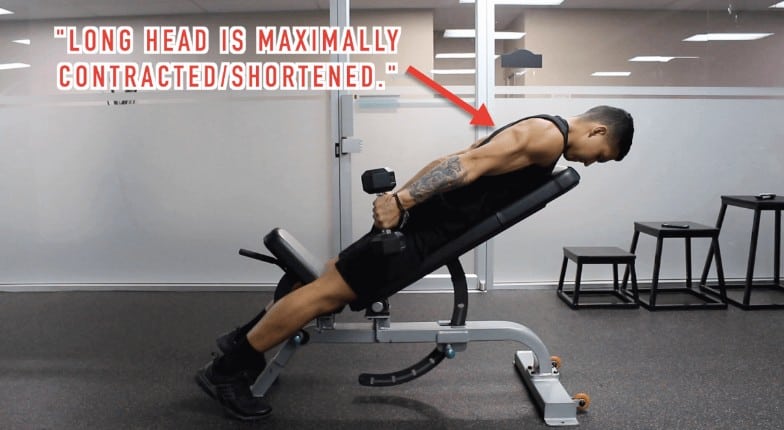 Tricep Kickback Muscles Worked: The Lateral Head - Lifting FAQ