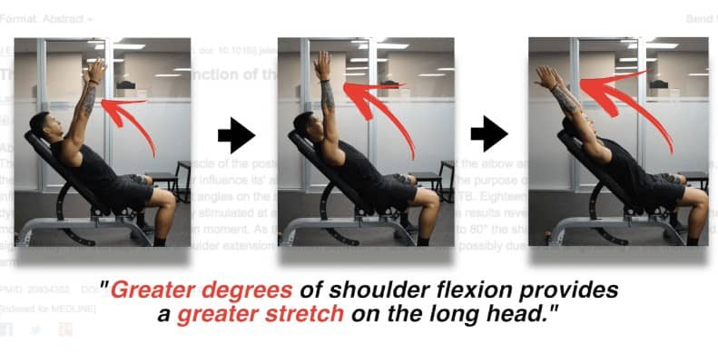 Long head tricep online workout