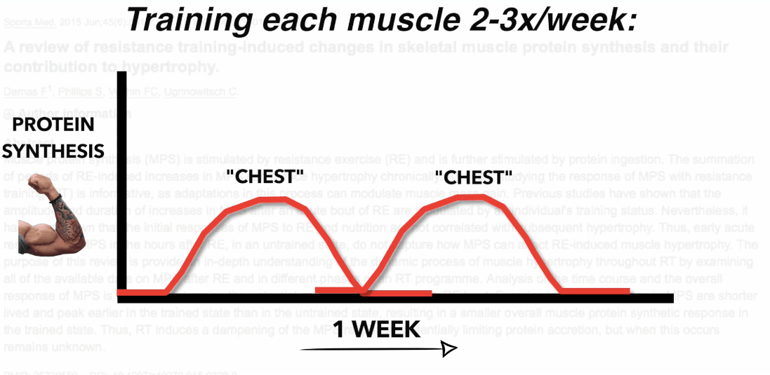 optimal training frequency