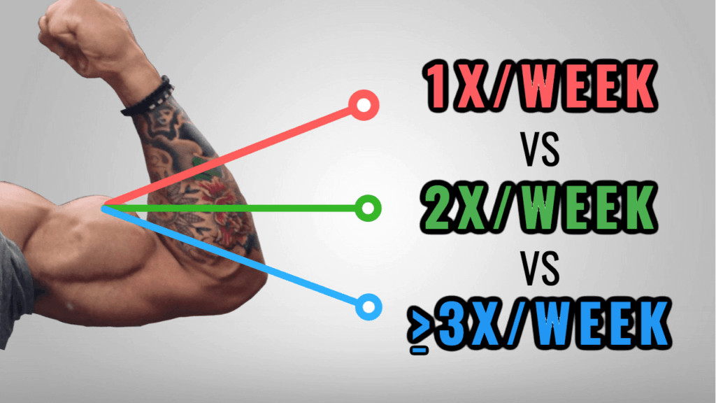 How Often Should You Train Each Muscle To Maximize Growth 