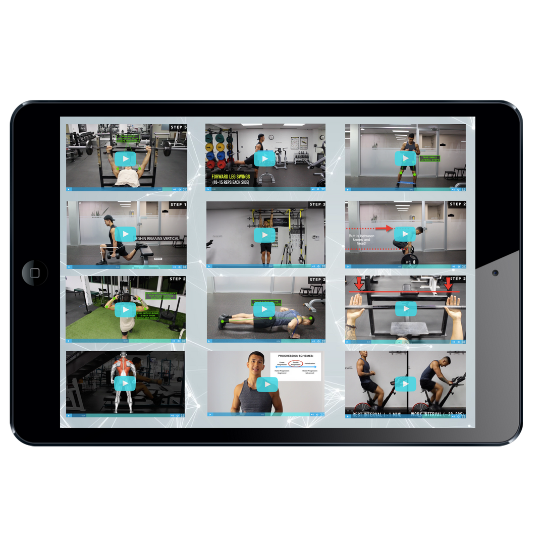 workout videos (option 1)