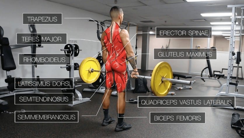 Best Deadlift Routine For Mass Eoua Blog 