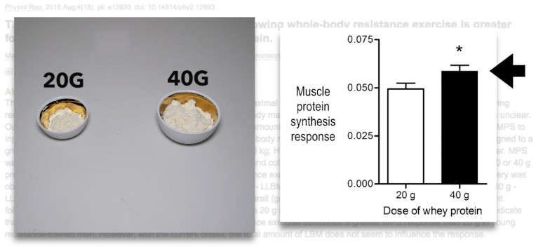 40g vs 20g whey protein