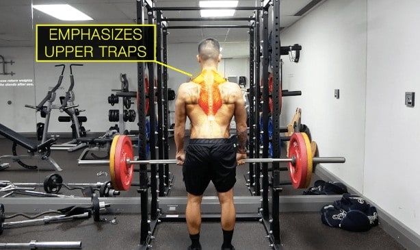 Best Traps Workout to Grow Your Trapezius Muscles Fast! – Transparent Labs