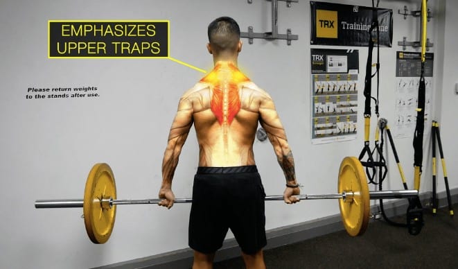 10 Best Trap Exercises for Building Better Trap Muscles