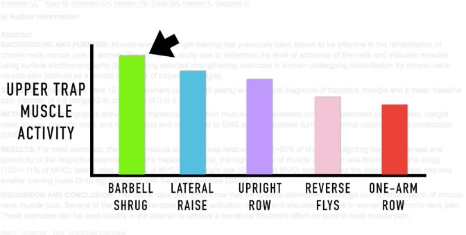 barbell shrugs study