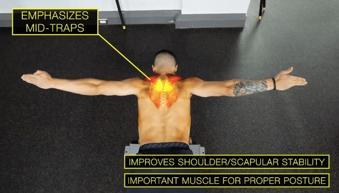 Shoulder trapezius online workout