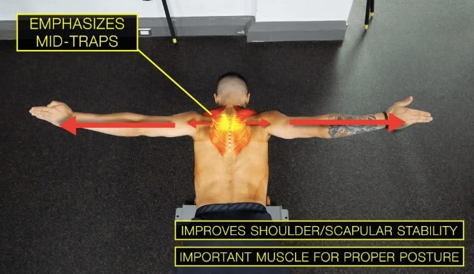 Trapezius muscle online strengthening