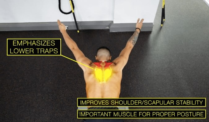 prone Y's for lower traps