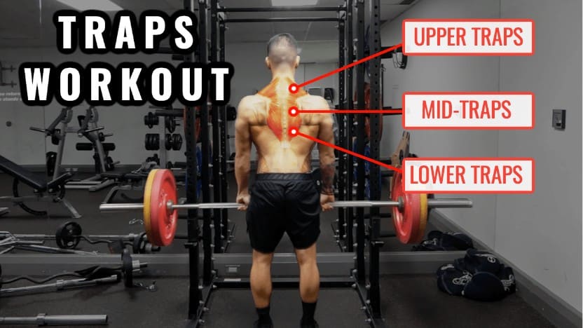 Trap Exercises at Home: What are the best exercises for traps?
