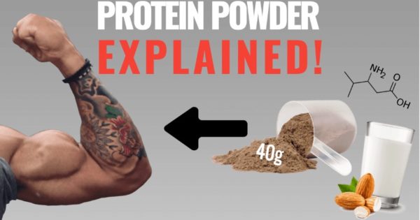 how to use protein powder