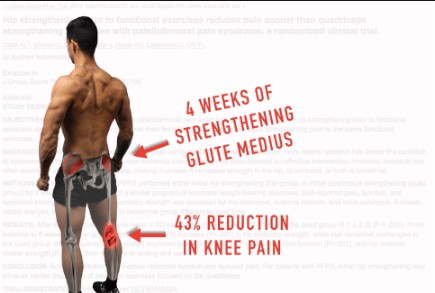 Weak Glutes and Knee Pain » The BioMechanics Method