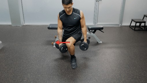 knee pain during squat