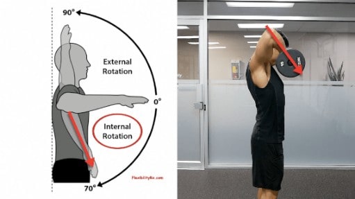 upright row internal rotation