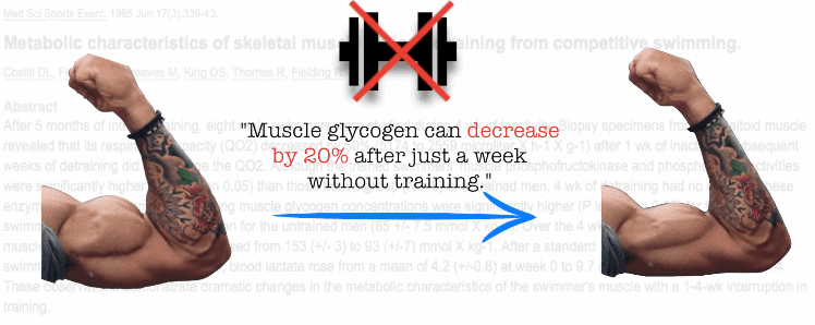 how long does it take to lose muscle