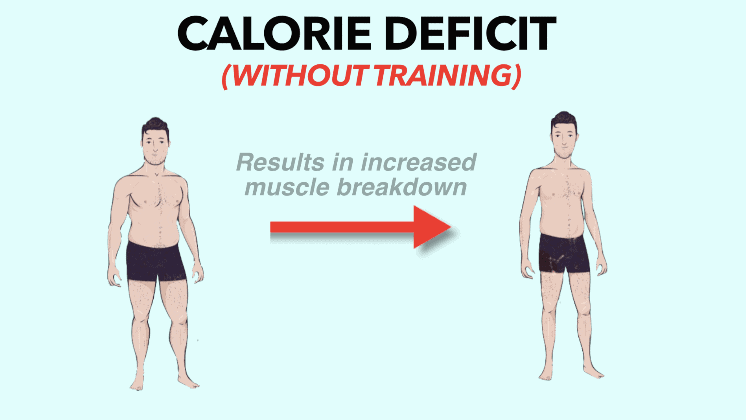 calorie deficit to maintain muscle mass