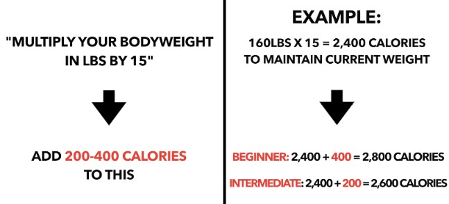 calculating calories for muscle growth