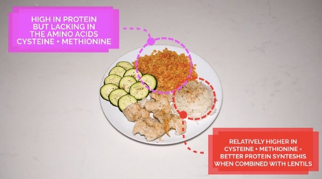 The Best Science-Based Diet to Build Lean Muscle (ALL MEALS SHOWN!) 