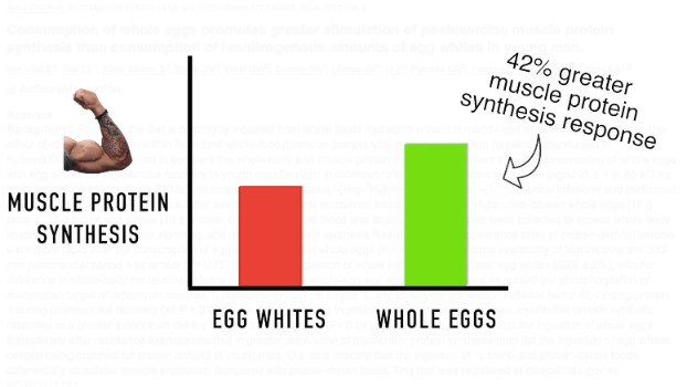 whole eggs vs egg whites