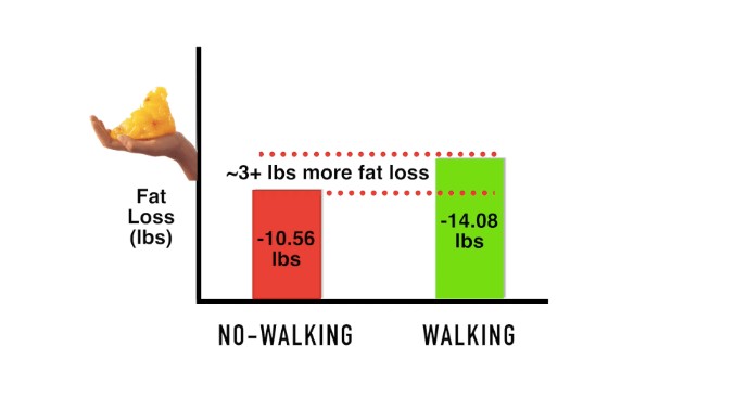 walking for fat loss study results
