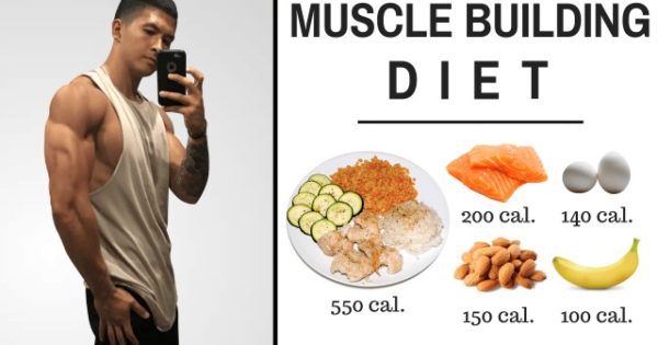 Image Result Fort Plan For Lean Muscle Gain Vegetarian Image Result Fort Plan For Lean Muscle Gain Vegetarian