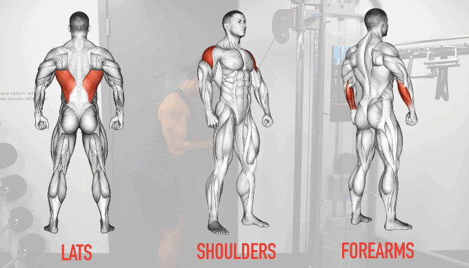 muscles taking over triceps training
