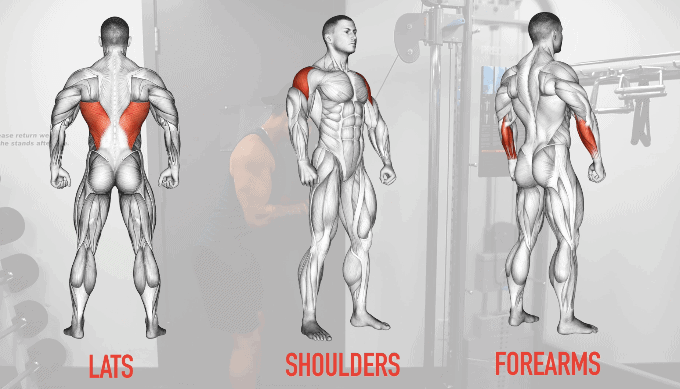 Muscles Taking Over Triceps Training