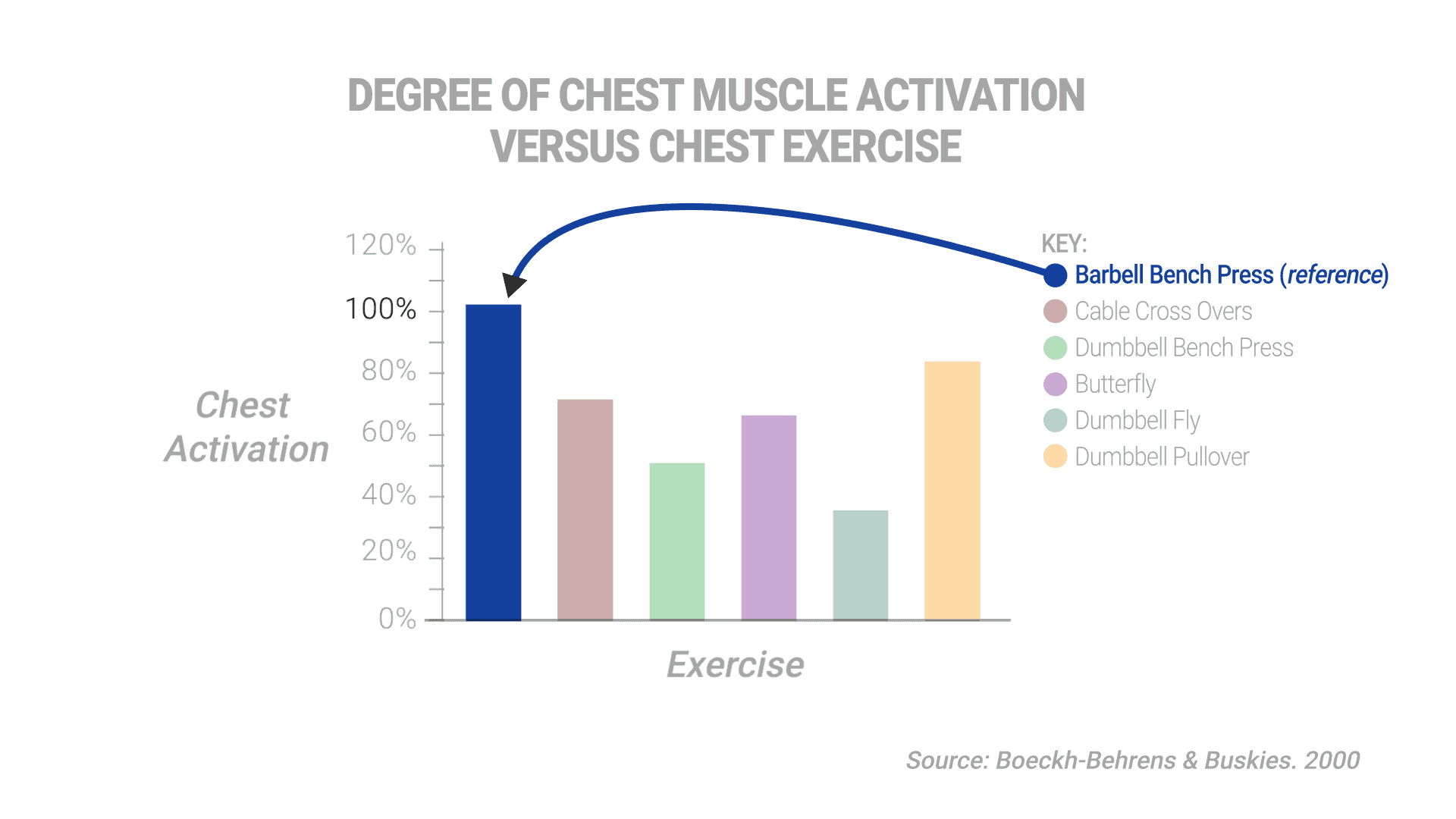 Exercise Bench Workout Chart