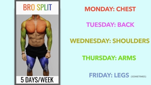 6 day workout discount split for mass