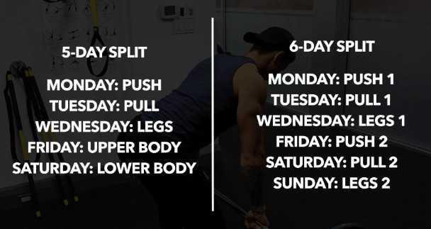 Advanced push pull online legs 6 day split