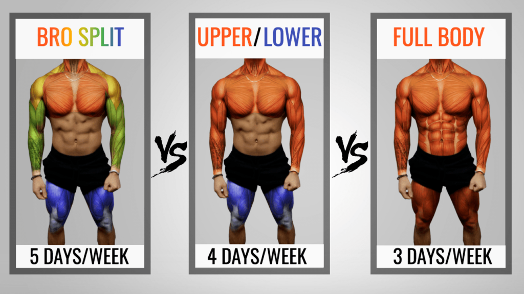 The Best Workout Split To Maximize Growth