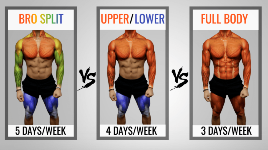 Muscle Workout Chart