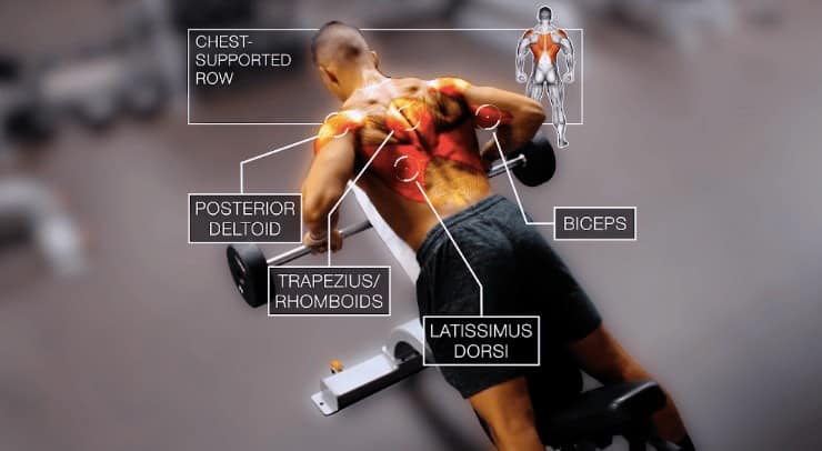 chest supported row