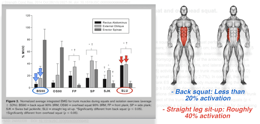 abs activation study