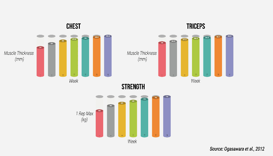 how fast does muscle grow study