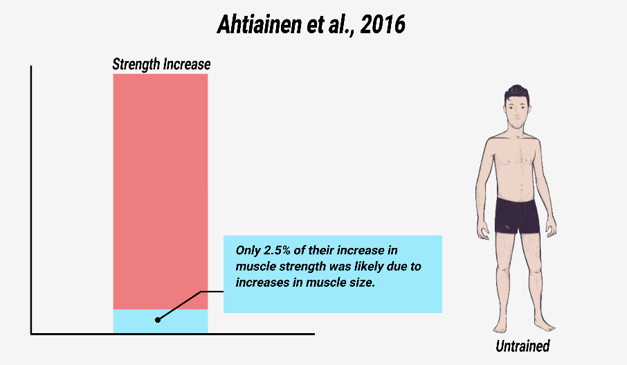 how to build muscle fast study