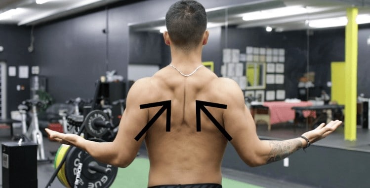 shoulder retraction exercise