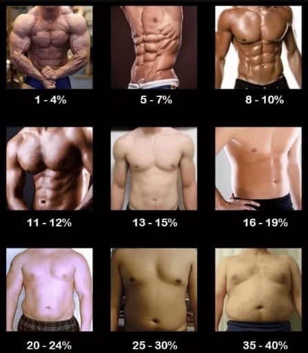 Different types of store six pack abs