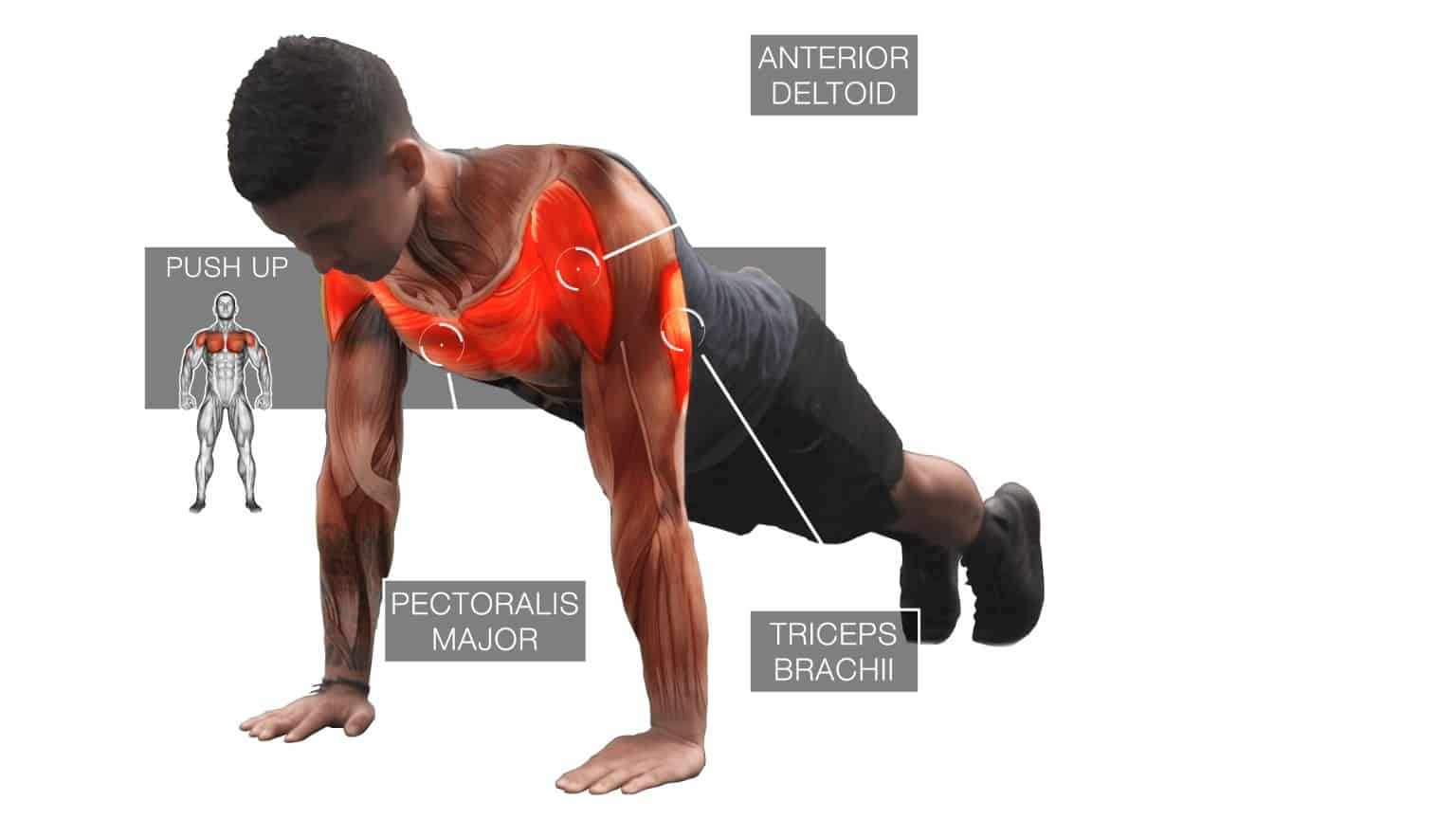 build up push ups