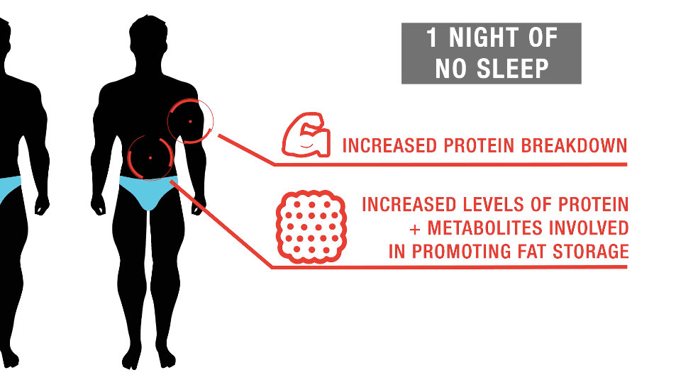 How Sleep Impacts Strength Gains