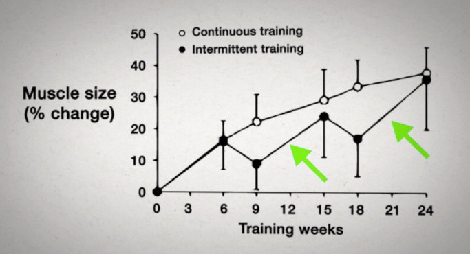 deload weeks explained