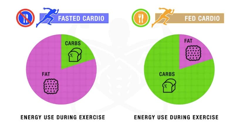 Fasted Cardio Why You SHOULD Be Doing It To Lose Fat Faster