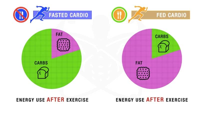 Fasted Cardio Why You SHOULD Be Doing It To Lose Fat Faster