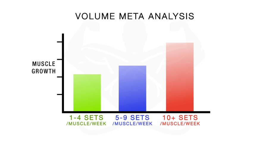 How Many Sets per Muscle Group per Week? – StrengthLog