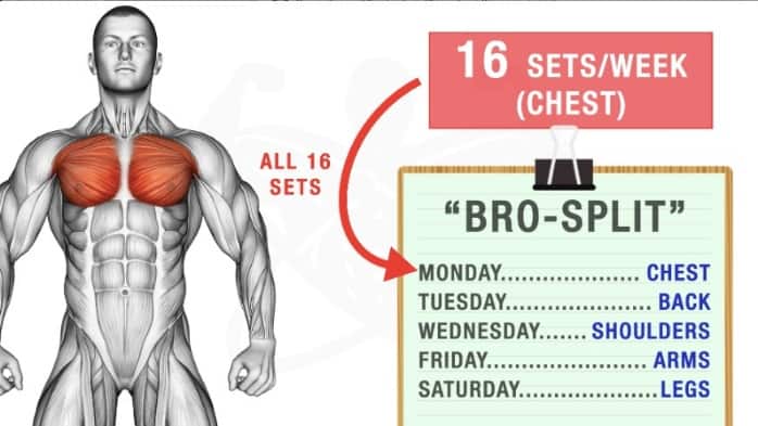 How Many Chest Exercises Per Workout?