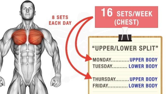 How Many Sets Per Workout Should You Do To Build Muscle