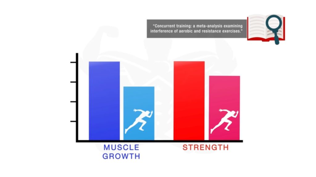 Combining cardio and lifting impairs muscle growth and strength gains