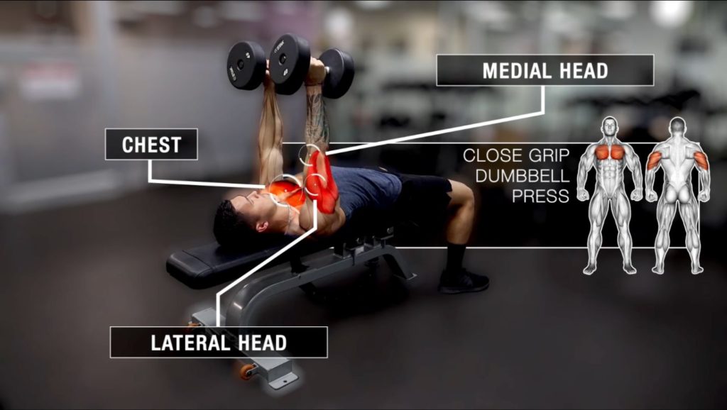 The 4 Best Dumbbell Tricep Exercises For Gaining Mass