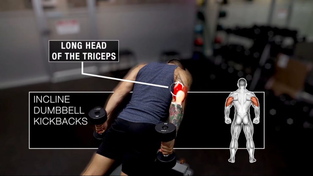 Dumbbell tricep exercises incline dumbbell kickbacks