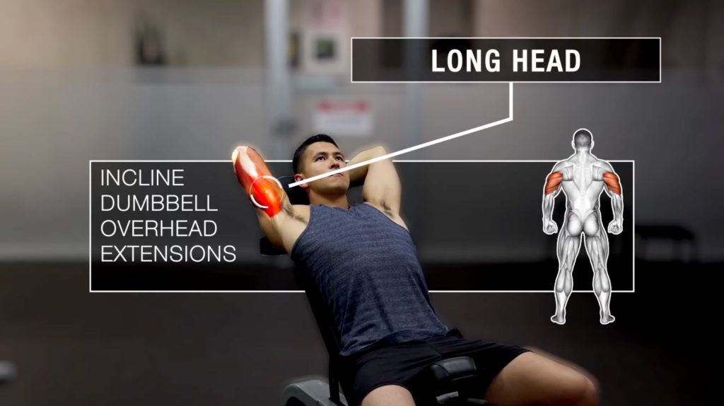 Incline dumbbell kickbacks highest long head activation